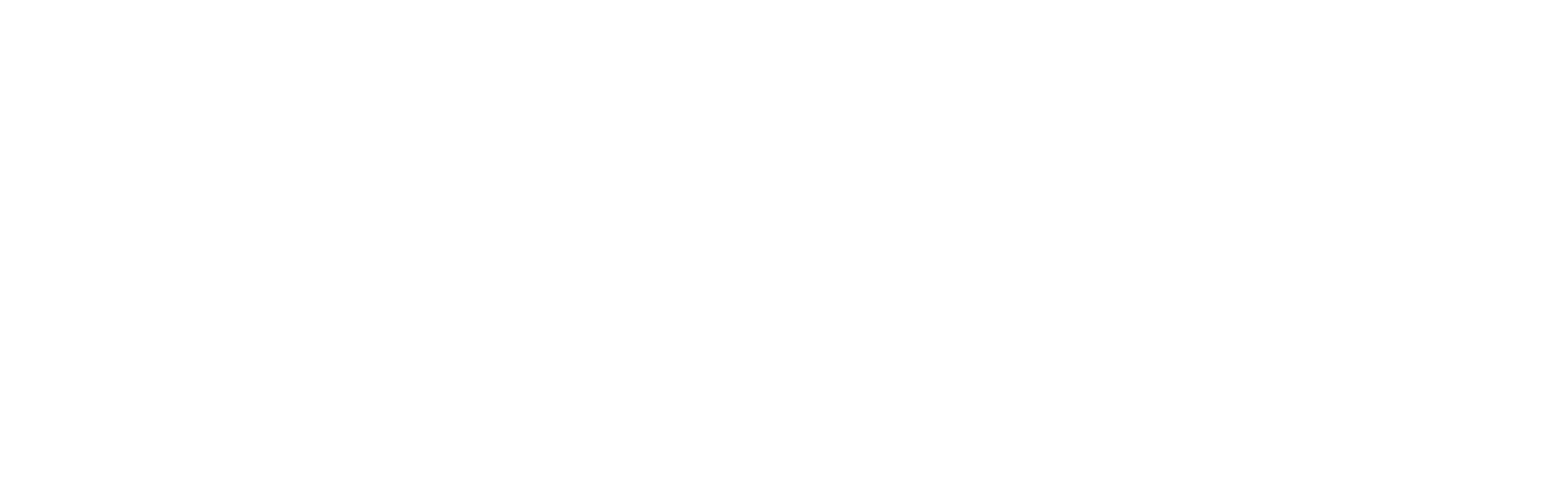 buller logo whiteee